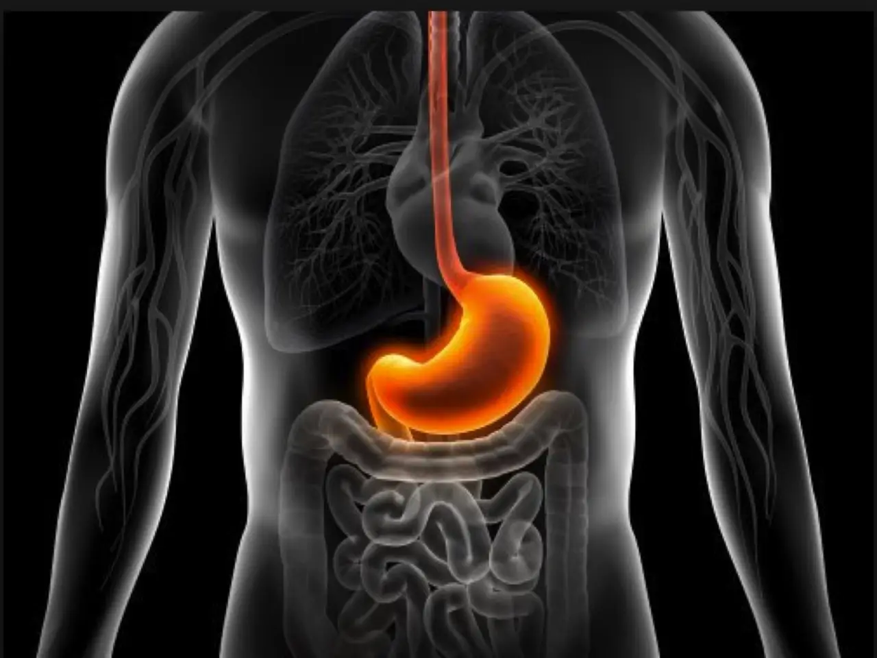 Il vero motivo per cui hai sempre fame: non è lo stomaco, ma il tuo cervello